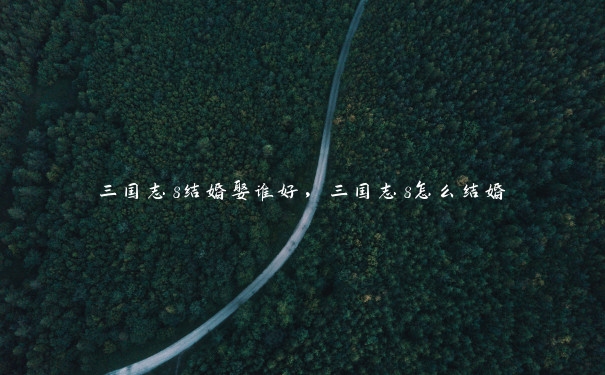 三国志8结婚娶谁好,三国志8怎么结婚 三国志8结婚娶谁好,三国志8怎么结婚